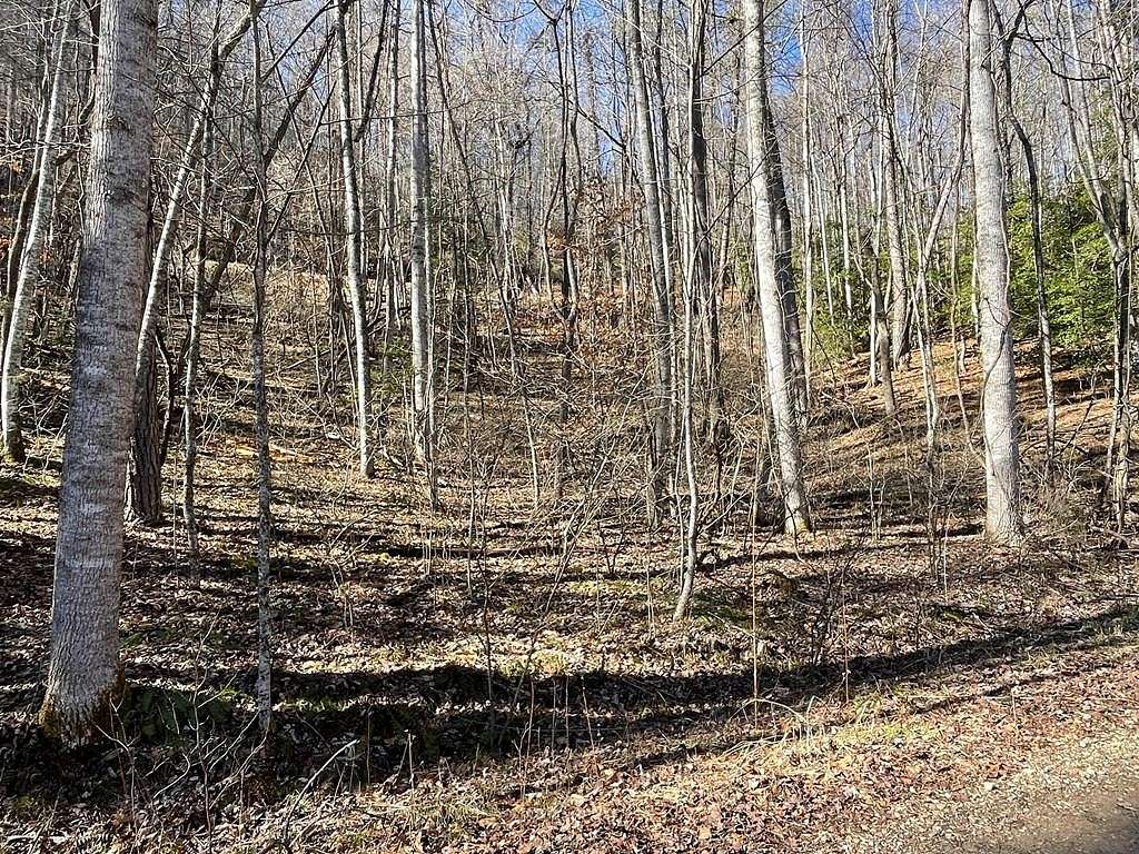 1.95 Acres of Residential Land for Sale in Cartoogechaye Township, North Carolina