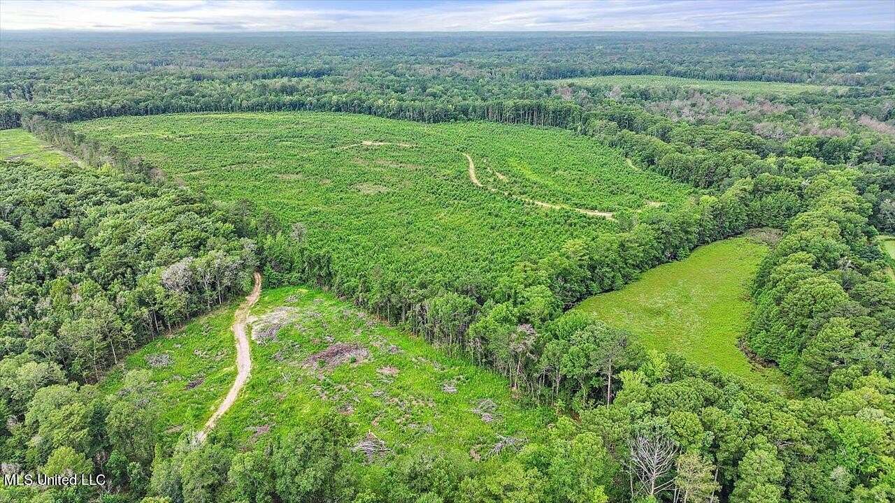 112 Acres of Recreational Land for Sale in Georgetown, Mississippi