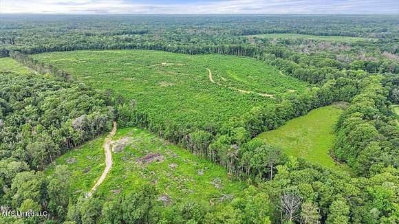 111.53 Acres of Recreational Land for Sale in Georgetown, Mississippi