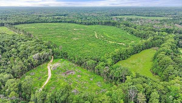 112 Acres of Recreational Land for Sale in Georgetown, Mississippi