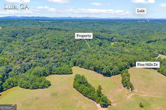 21 Acres of Recreational Land for Sale in Lula, Georgia