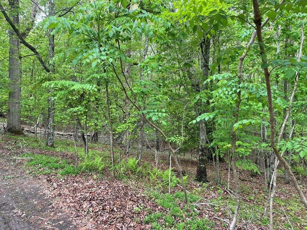 4.21 Acres of Land for Sale in McCaysville, Georgia