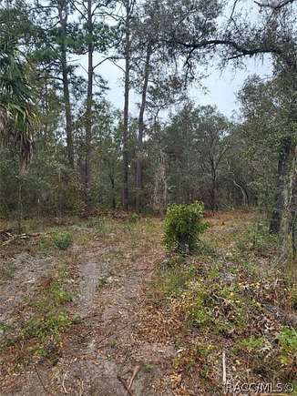 1 Acre of Residential Land for Sale in Dunnellon, Florida