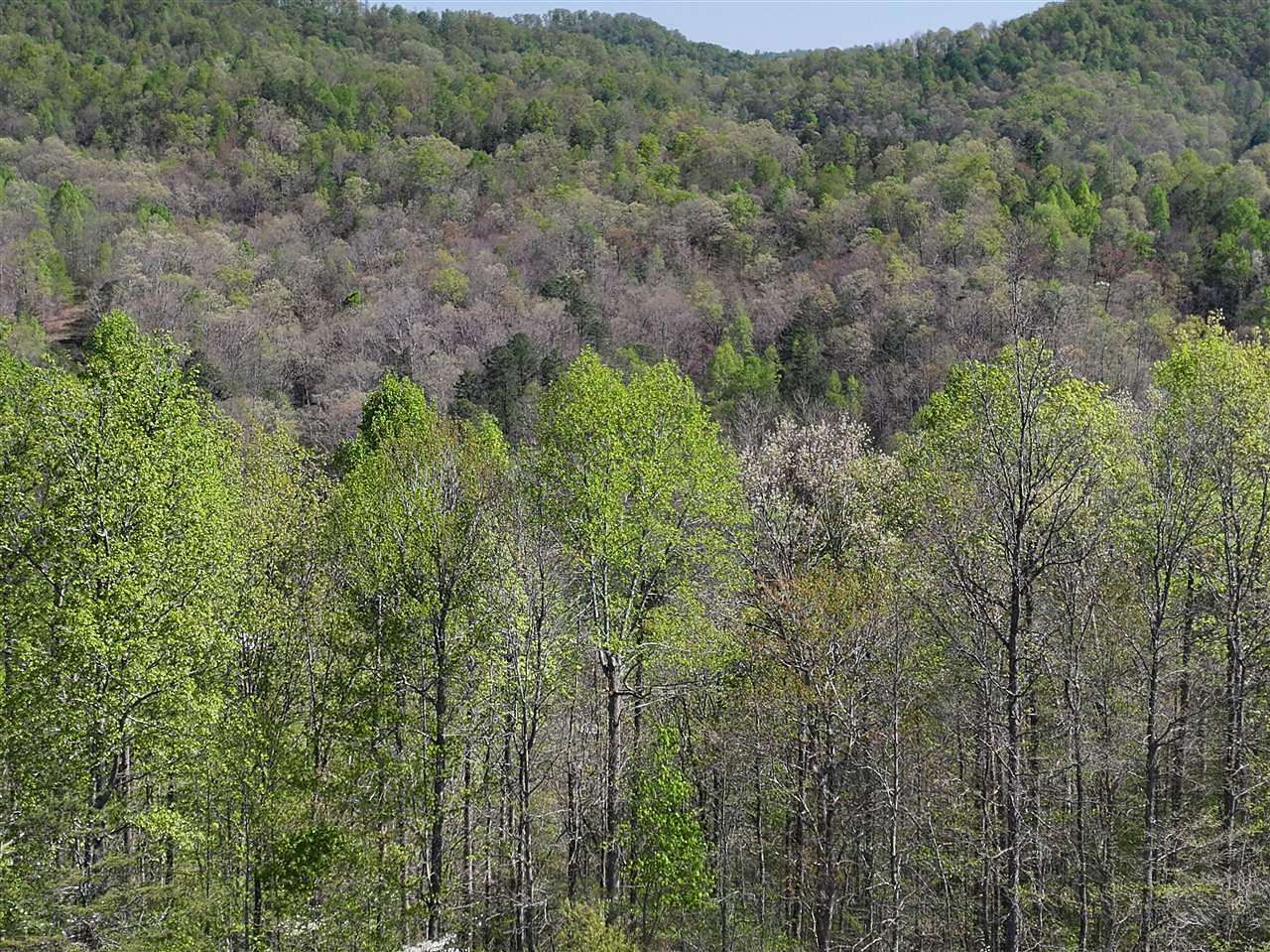 131.91 Acres of Recreational Land for Sale in Booneville, Kentucky