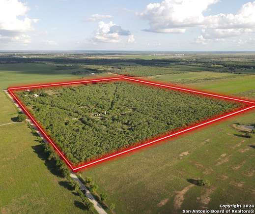 74.553 Acres of Land for Sale in Nixon, Texas
