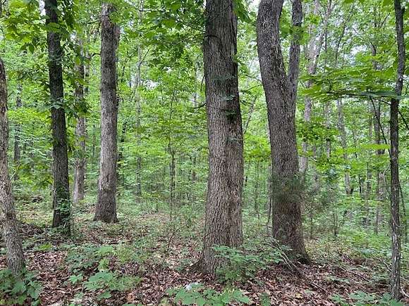 8.25 Acres of Land for Sale in Mountain View, Arkansas