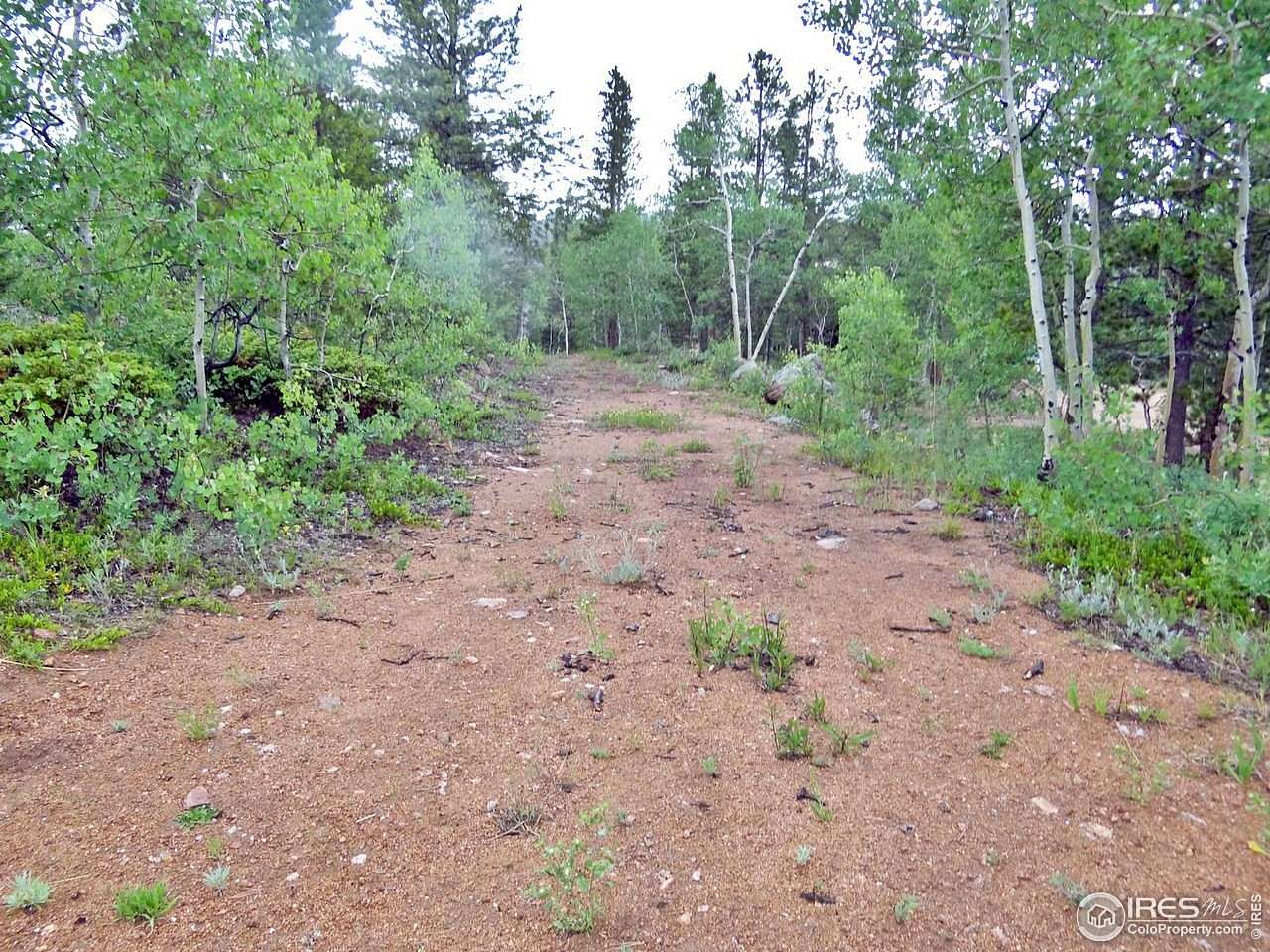 2.15 Acres of Residential Land for Sale in Red Feather Lakes, Colorado