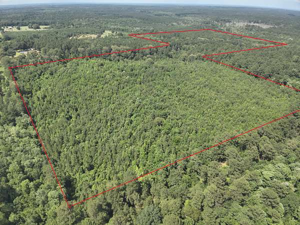 80 Acres of Recreational Land & Farm for Sale in Camden, Arkansas