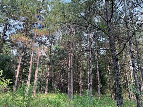 53.22 Acres of Land for Sale in Camden, Arkansas