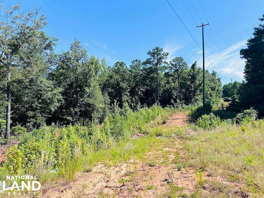 180 Acres of Recreational Land for Sale in Richland, Georgia