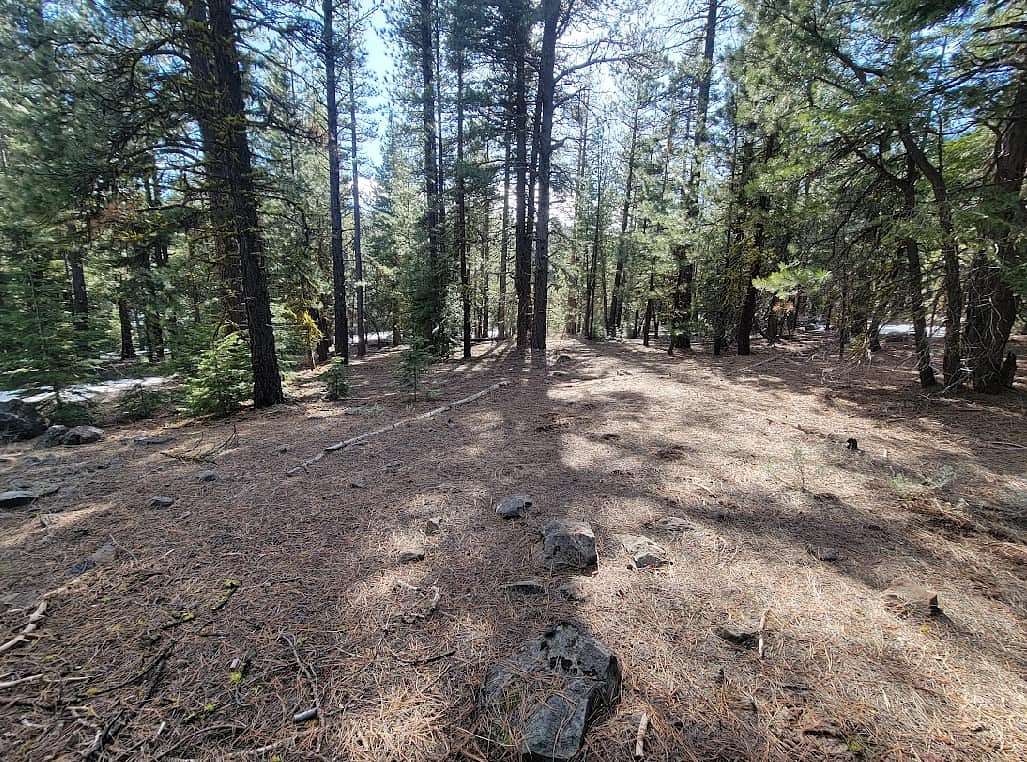 0.85 Acres of Residential Land for Sale in Alturas, California