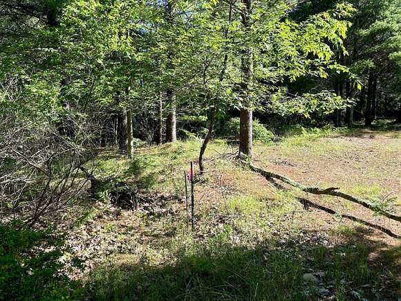 0.36 Acres of Land for Sale in Onekama, Michigan