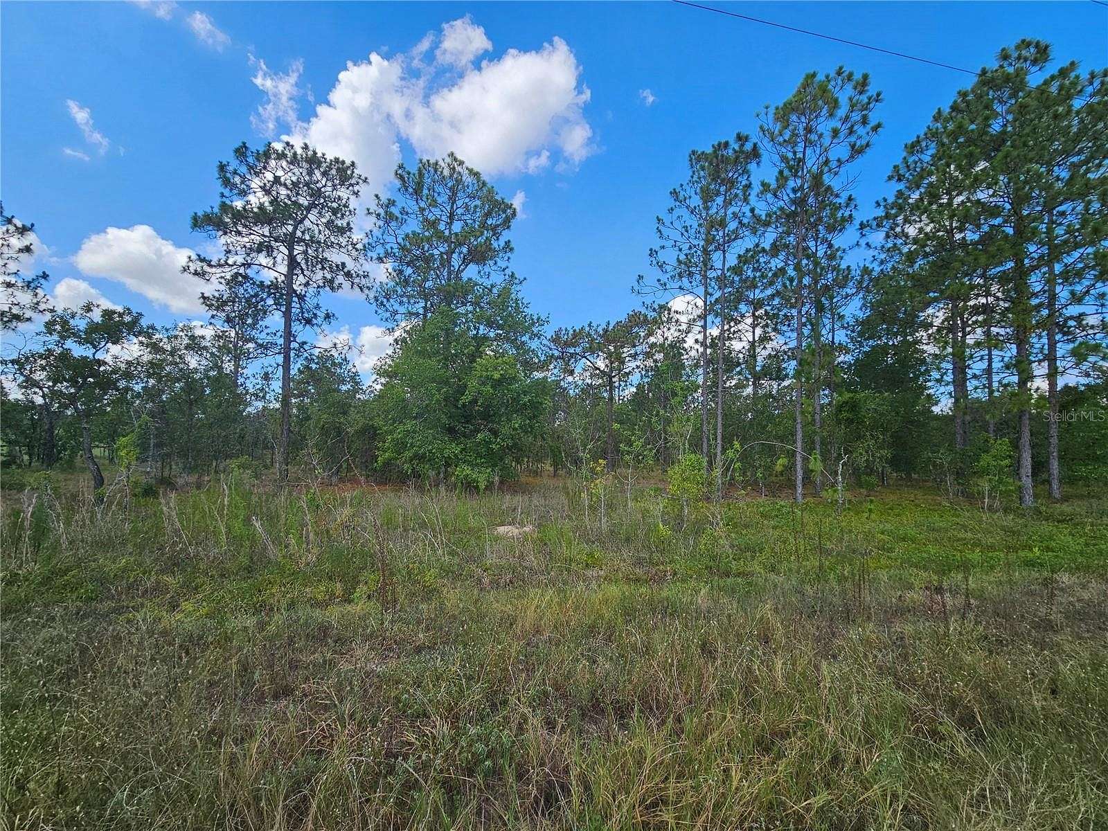 5 Acres of Residential Land for Sale in Morriston, Florida