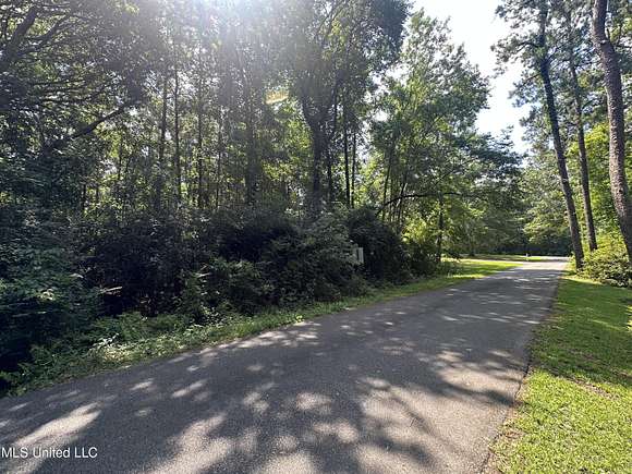 0.92 Acres of Residential Land for Sale in Picayune, Mississippi