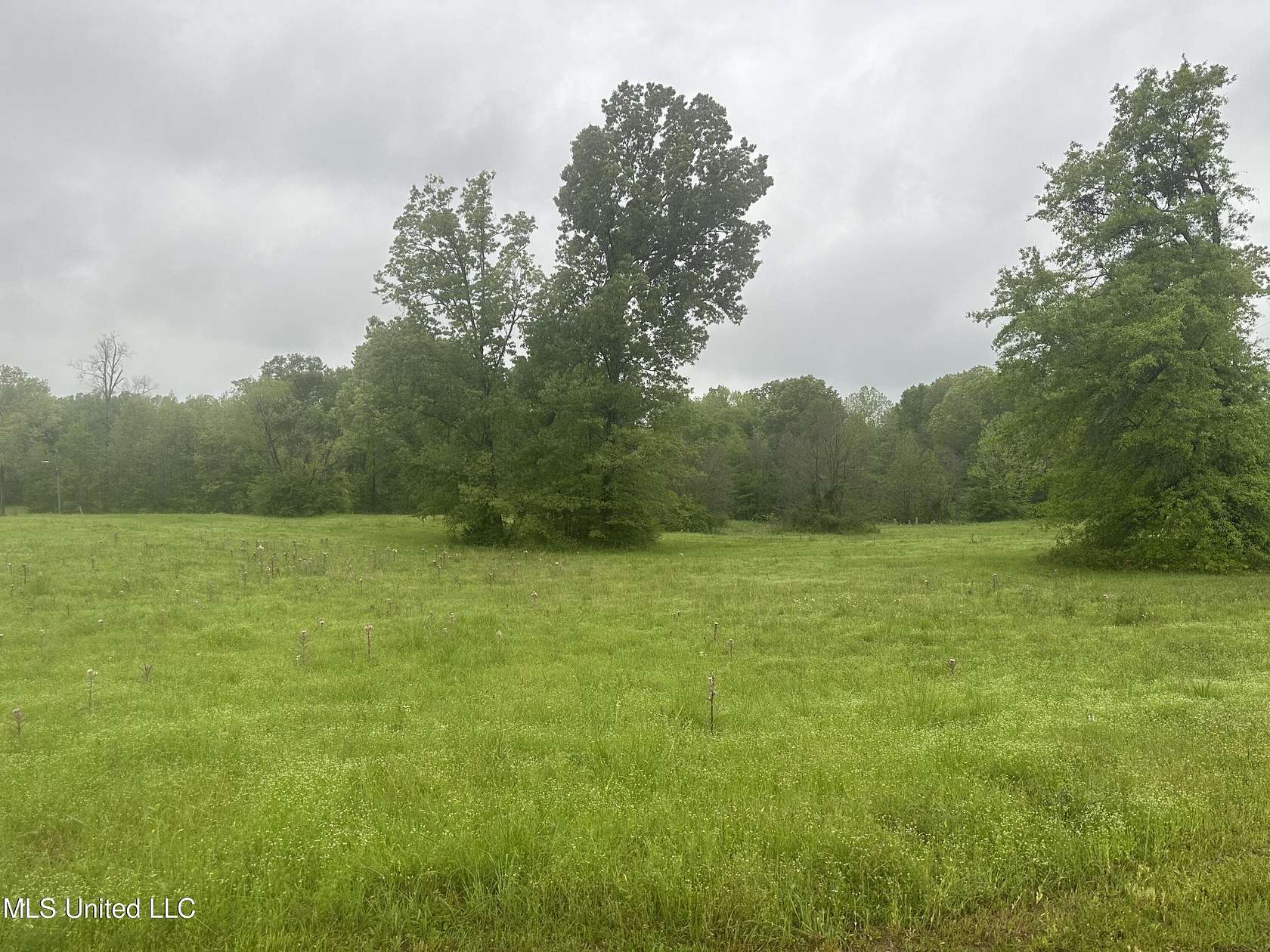 6.5 Acres of Residential Land for Sale in Jackson, Mississippi