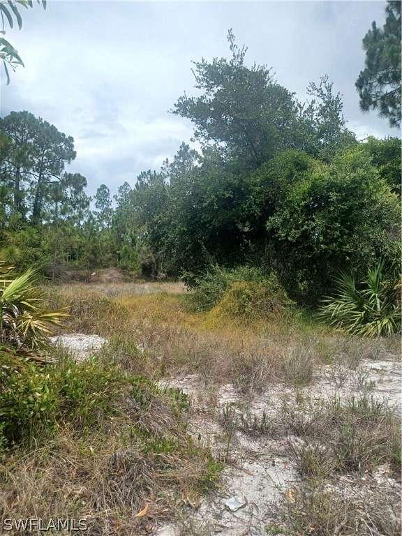 0.232 Acres of Residential Land for Sale in Lehigh Acres, Florida