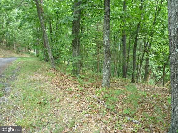0.33 Acres of Land for Sale in Basye, Virginia