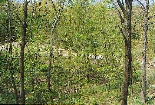 0.87 Acres of Residential Land for Sale in Marseilles, Illinois