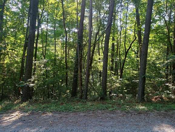 1.04 Acres of Residential Land for Sale in Ellijay, Georgia