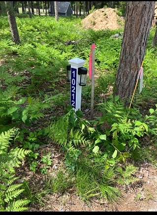 Residential Land for Sale in St. Helen, Michigan