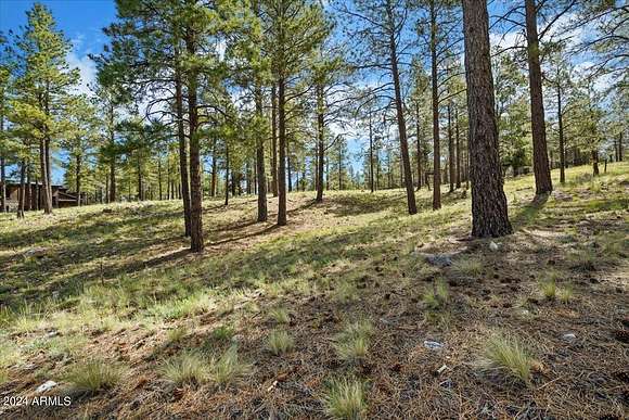 0.39 Acres of Residential Land for Sale in Flagstaff, Arizona