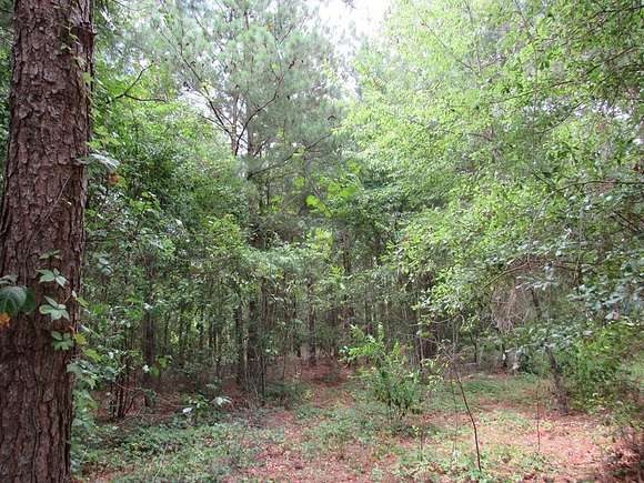 15 Acres of Land for Sale in Moultrie, Georgia - LandSearch