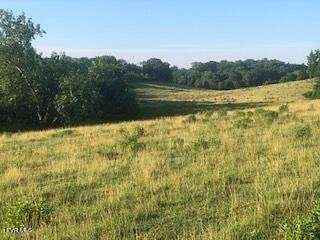 75 Acres of Land for Sale in Tazewell, Tennessee