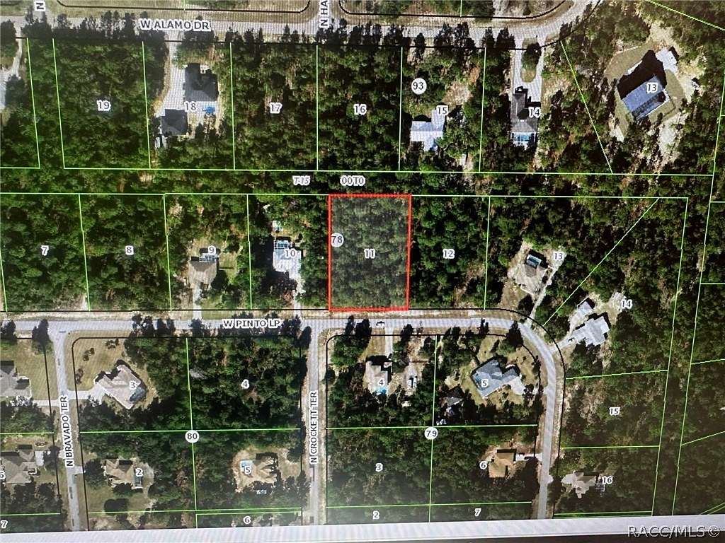 1 Acre of Land for Sale in Beverly Hills, Florida