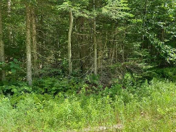 6.7 Acres of Residential Land for Sale in Thendara, New York