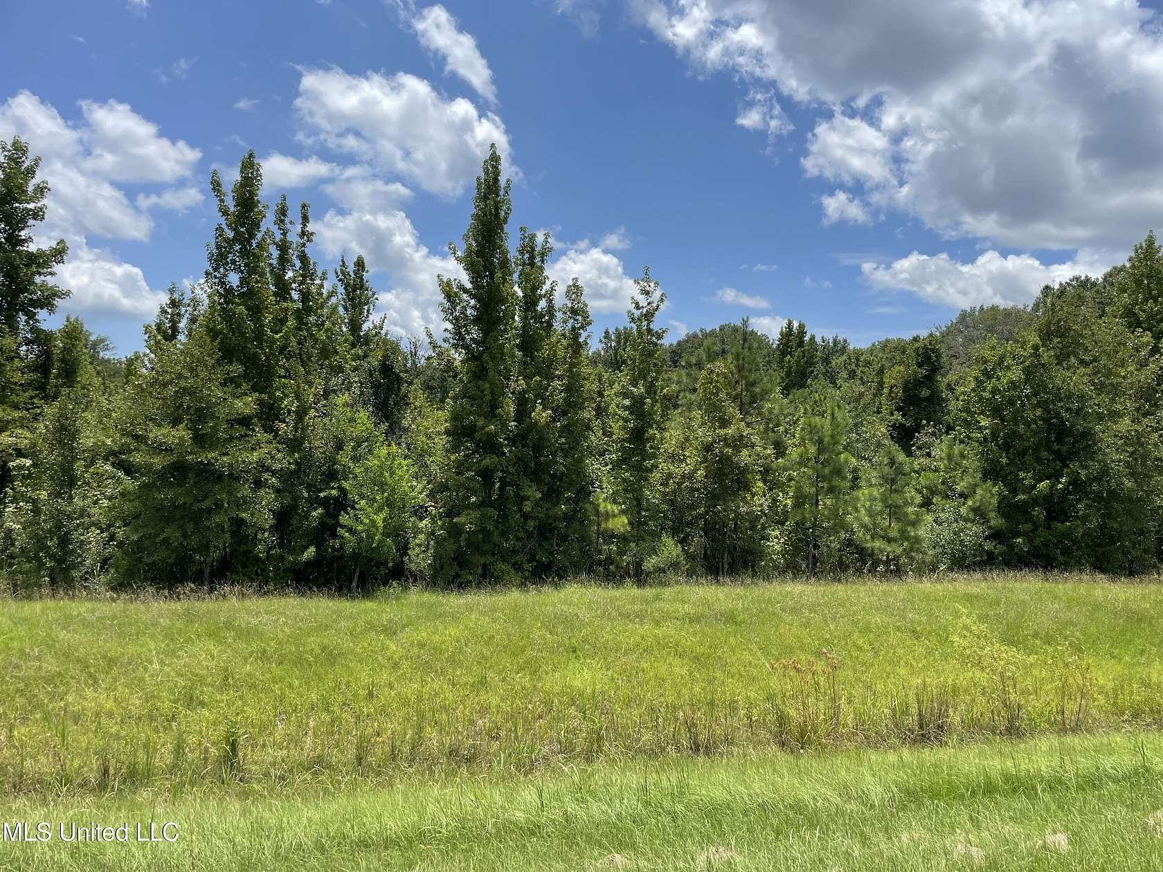 33.5 Acres of Mixed-Use Land for Sale in Canton, Mississippi