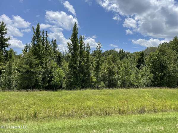 33.5 Acres of Mixed-Use Land for Sale in Canton, Mississippi