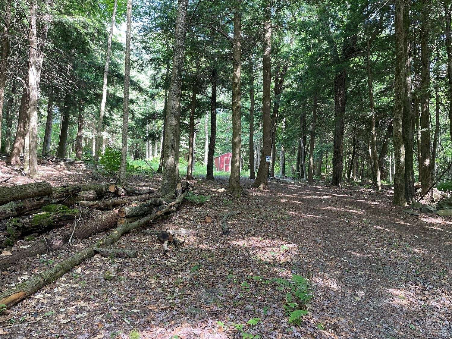 4.5 Acres of Residential Land for Sale in Middleburgh, New York