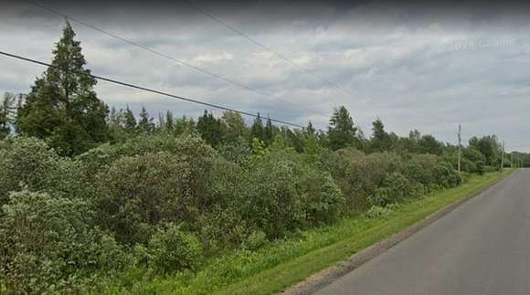 46.59 Acres of Land for Sale in Potsdam, New York