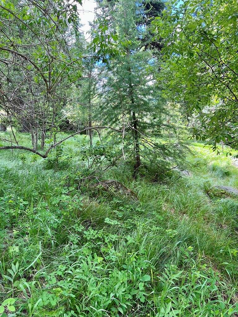 0.4 Acres of Land for Sale in McCall, Idaho - LandSearch