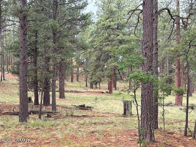 2.01 Acres of Residential Land for Sale in Alpine, Arizona