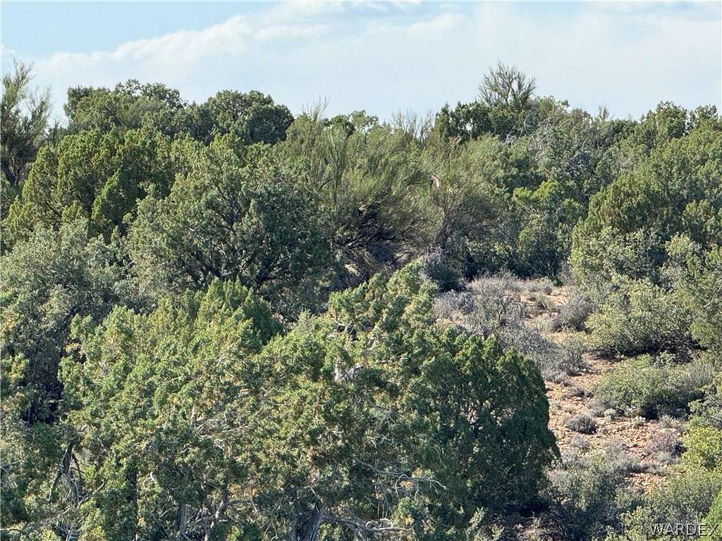 10.33 Acres of Land for Sale in Kingman, Arizona