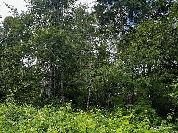 Residential Land for Sale in North Bend, Washington