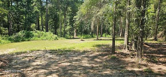 4.63 Acres of Residential Land for Sale in Carriere, Mississippi