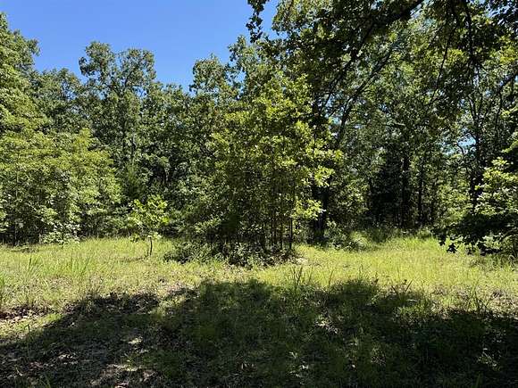 15.36 Acres of Recreational Land for Sale in Blossom, Texas