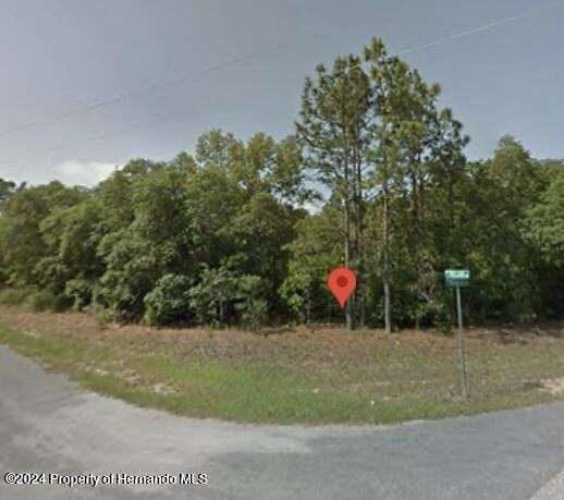 0.292 Acres of Residential Land for Sale in Citrus Springs, Florida