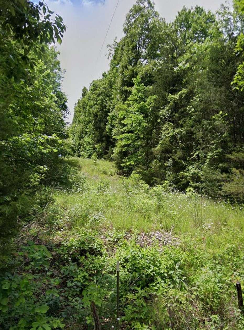 16.8 Acres of Land for Sale in Oldfield, Missouri