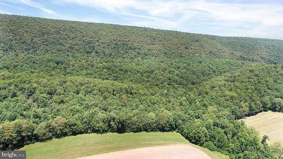 130 Acres of Recreational Land for Auction in Loysville, Pennsylvania