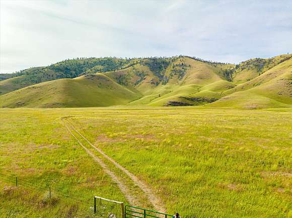 40 Acres of Recreational Land & Farm for Sale in Niarada, Montana