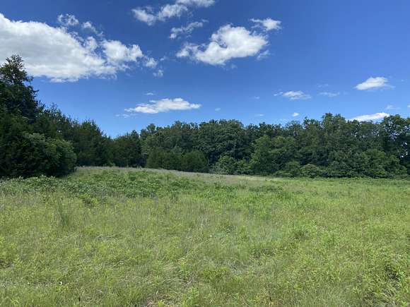 10 Acres of Agricultural Land for Sale in Licking, Missouri