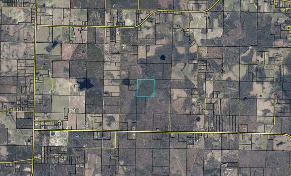 80 Acres of Recreational Land & Farm for Sale in Chipley, Florida