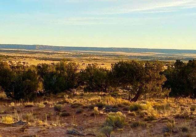 255.68 Acres of Land for Sale in Sanders, Arizona
