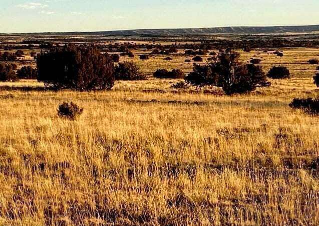 255.68 Acres of Land for Sale in Sanders, Arizona