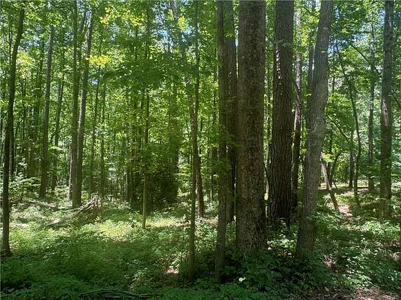 0.41 Acres of Land for Sale in Alexander City, Alabama