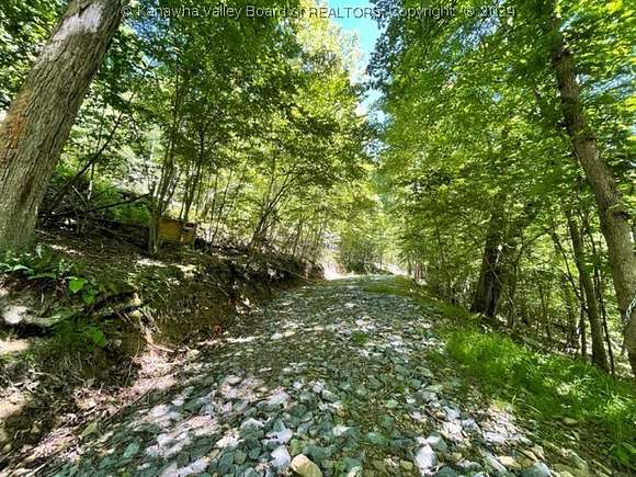 17 Acres of Recreational Land for Sale in Duck, West Virginia