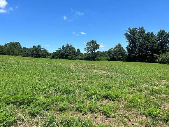 20 Acres of Recreational Land & Farm for Sale in Morgantown, Kentucky